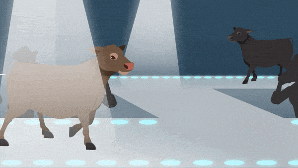 How Agriculture Video Production Works How Agriculture Video Production Works
